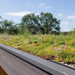 découvrez les avantages d'un toit végétal et suivez nos conseils pratiques pour réussir son installation, alliant écologie, isolation et esthétique pour votre habitat.